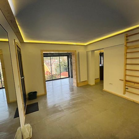 The Bear House 2 Villa Busteni Bagian luar foto