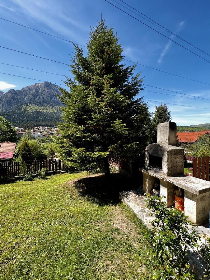 The Bear House 2 Villa Busteni Bagian luar foto