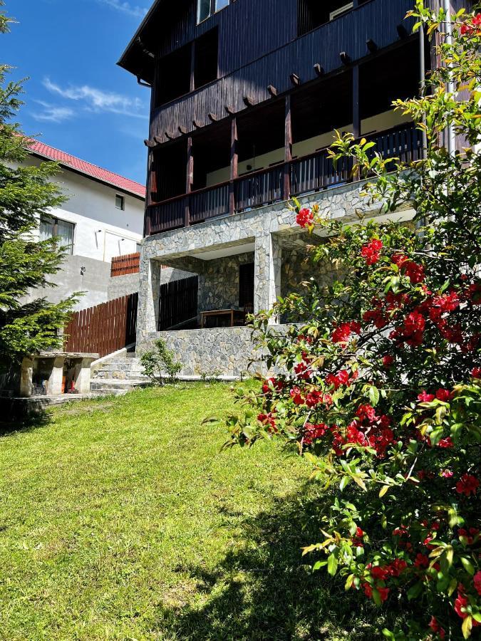 The Bear House 2 Villa Busteni Bagian luar foto